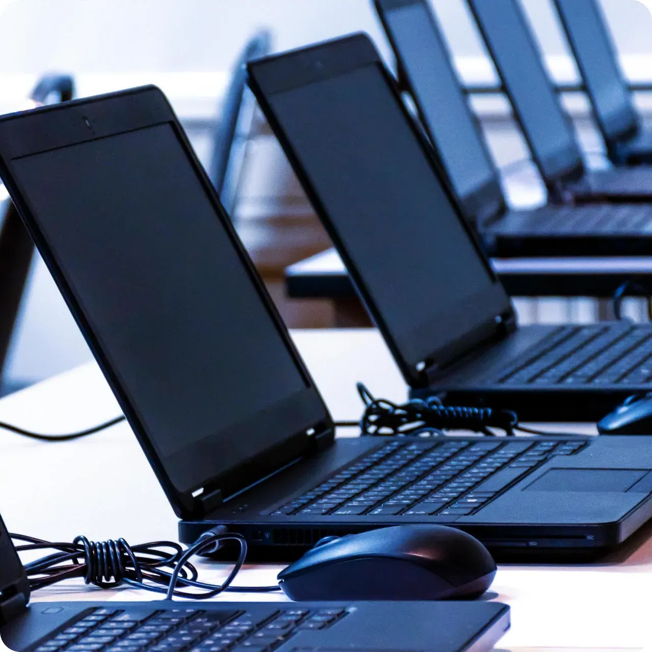 A row of laptops set up in a training classroom